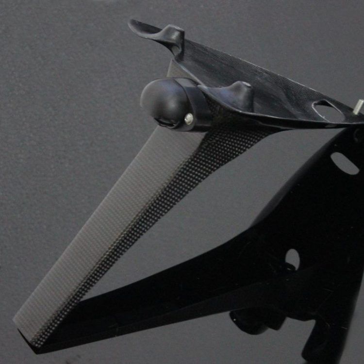 Carbon license plate holder (Tyga), Aprilia RS250