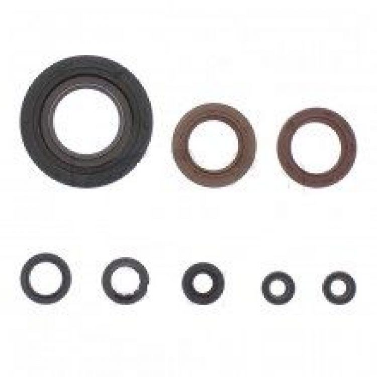 RETENES DE MOTOR RGV / RS250