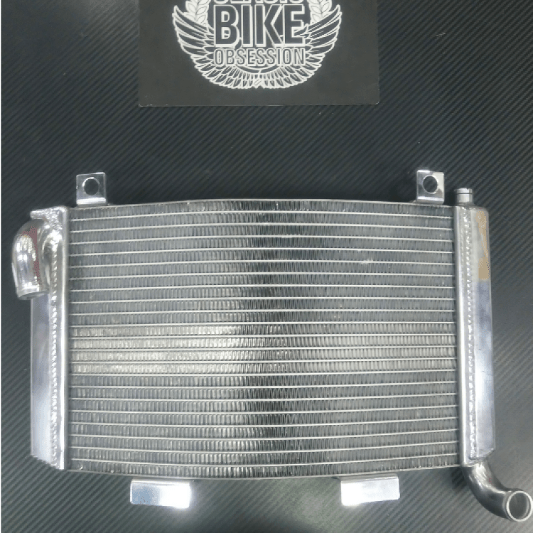 RADIADOR RGV250 / RS250 (STREET)
