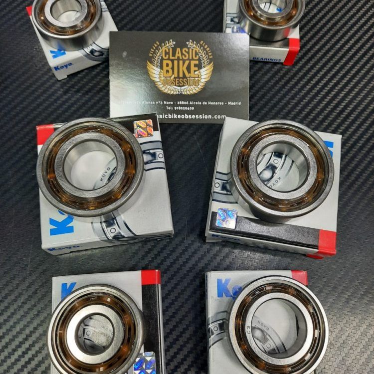 JUEGO RODAMIENTOS CAJA CAMBIOS COMPLETA RS125 ROTAX 122/123