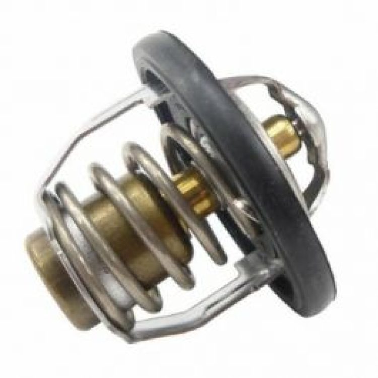 termostato original rgv250 / rs250